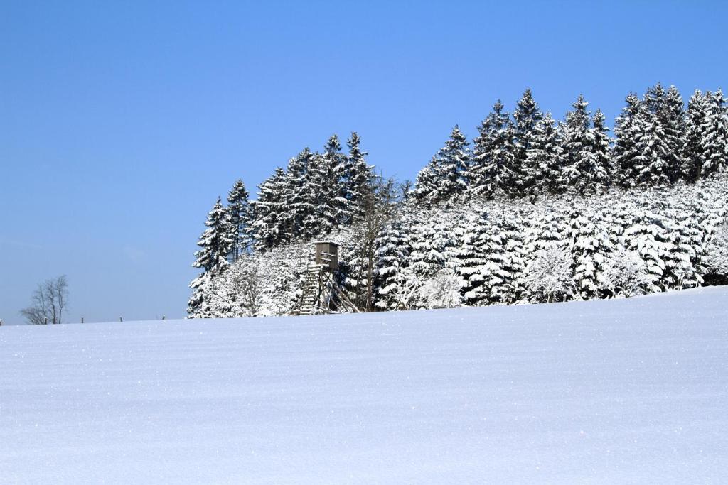 Hotel Schneider Winterberg Exterior foto